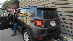 جيب رينيجيد